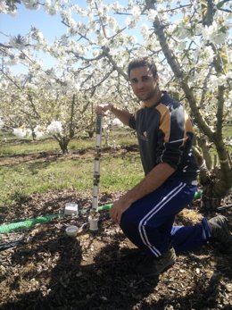 Imágenes de Pedro José Blaya realizando mediciones en un cultivo de cerezos.