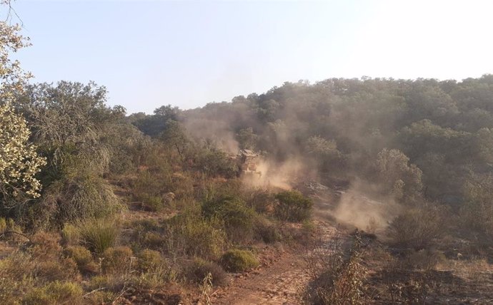 Incendio ya estabilizado en Los lagos del Serrano, en el término sevillano de El Ronquillo.