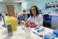 Premian un estudio sobre una isoflavona de soja que puede modular procesos antioxidantes implicados en el envejecimiento