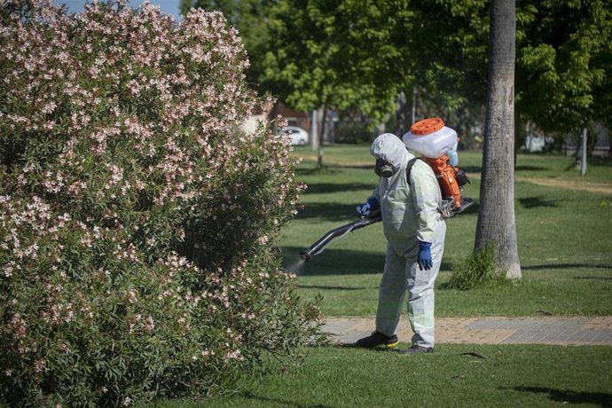 Archivo - Un operario inicia las labores de fumigación y el tratamiento en imbornales contra el mosquito para prevenir el Virus del Nilo, en foto de archivo.