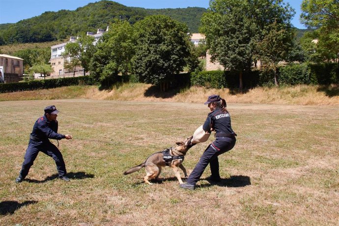 Ertzainas adiestran un perro.