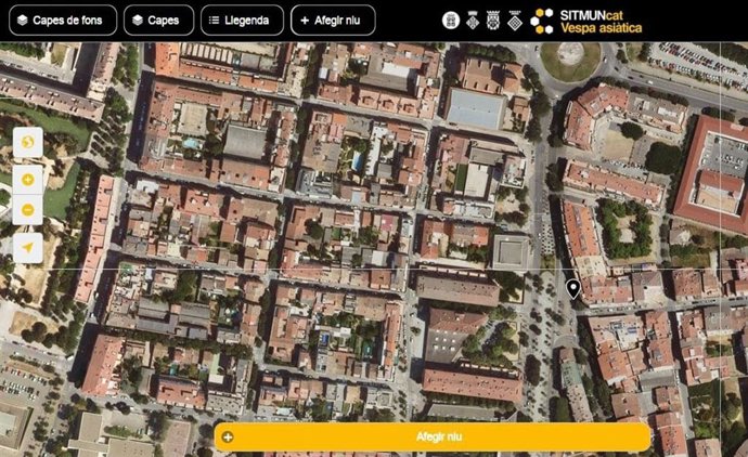 El nou espai web de l'aplicació 'SITMUN-Vespa asitica'