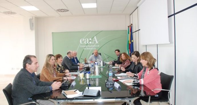 Reunión del Pleno del Consejo Audiovisual de Andalucía (CAA) presidido por Antonio Checa (Foto de archivo).