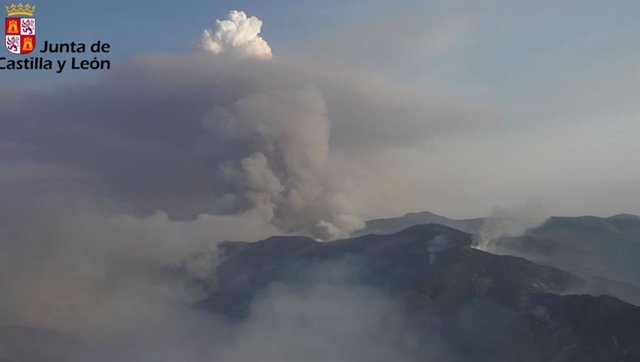 Incendio en Monsagro (Salamanca).