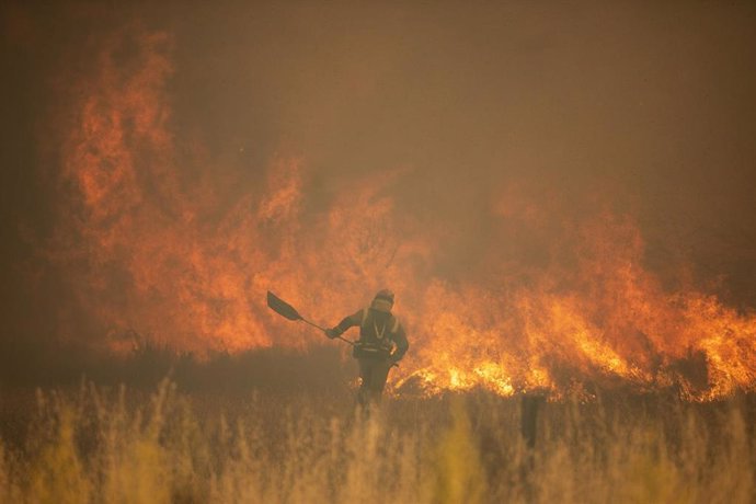 Efectivos de bomberos durante el incendio de la Sierra de la Culebra, a 18 de junio de 2022, en Zamora, Castilla y León (España). Este incendio, que continúa en nivel 2 de riesgo, ha calcinado ya cerca de 20.000 hectáreas en el oeste de la provincia y h