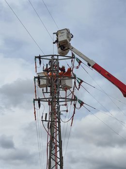 Operarios de Endesa trabajan en la red de distribución.