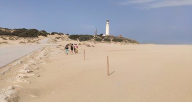 Cádiz al día