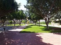 Sando y la UMA desarrollan un sistema que se probará en Málaga para medir los beneficios del arbolado urbano