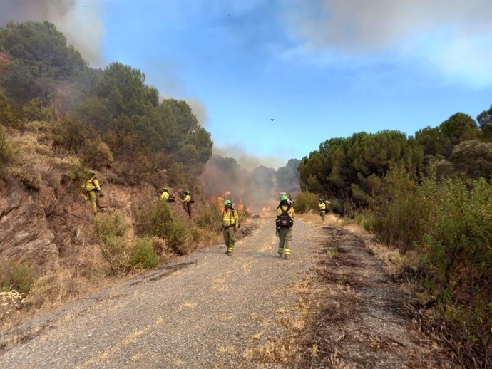 Efectivos del Plan Infoca actuán en el incendio forestal decretado en El Ronquillo