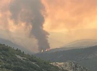 Incendios.- La primera estimación sitúa en torno a 1.000 hectáreas la superficie afectada en Monsagro