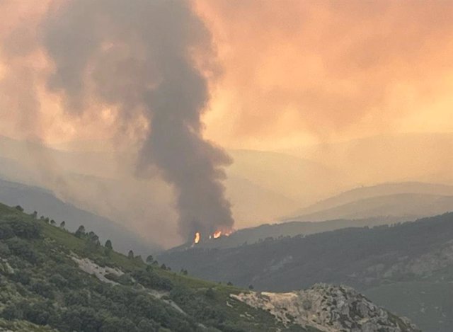 Incendio activo en la zona de Monsagro (Salamanca).