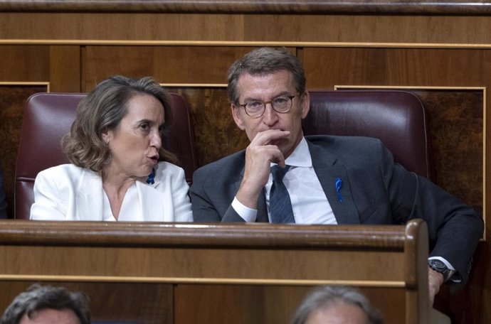 La secretaria general y portavoz del Partido Popular (PP), Cuca Gamarra, y el presidente del PP, Alberto Núñez Feijóo, durante la primera jornada de la 26 edición del Debate sobre el Estado de la Nación, en el Congreso de los Diputados, a 12 de julio de