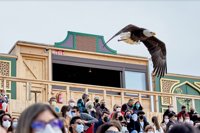 Puy du Fou obtiene el Sello de Turismo Familiar