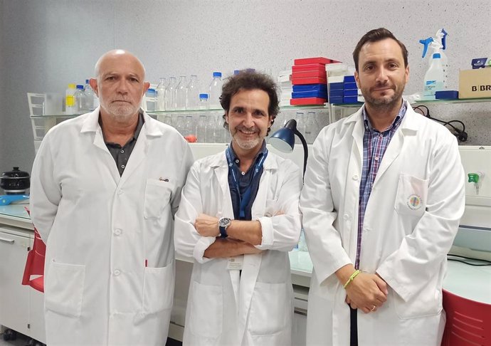 Los profesores de la CEU UCH Vicente Rodilla, Vicente Muedra y Vicente Hernández-Rabaza, coautores del estudio sobre el efecto neuroprotector del sugammadex en cirugías cardiacas