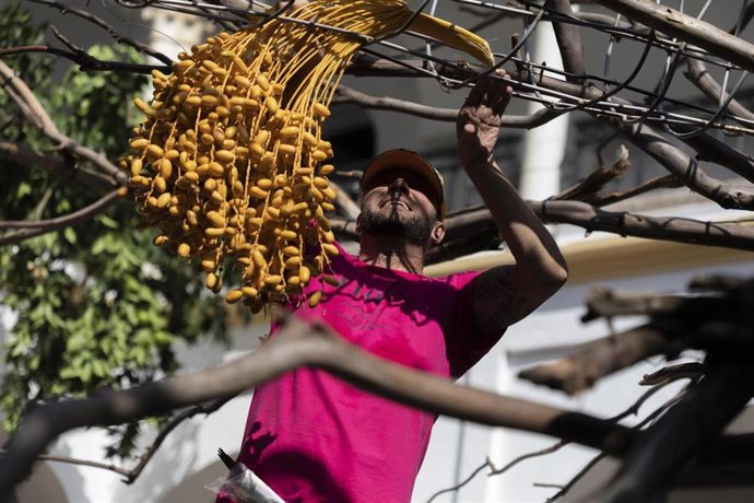 Un artista trabaja en una de las instalaciones florales.