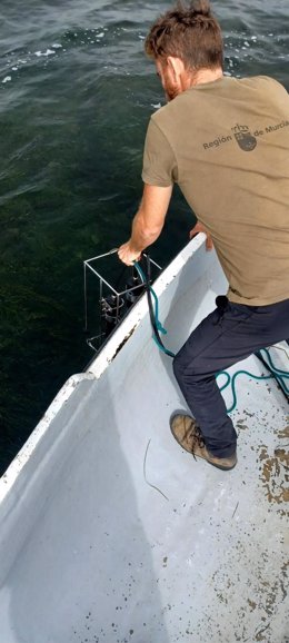 Un técnico de la Comunidad, durante la toma de muestras