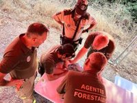 El incendio de Collado Mediano ya ha quemado 83 hectáreas forestales