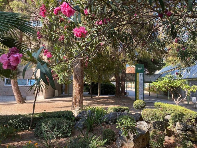 Campus Las Lagunillas de la UJA.