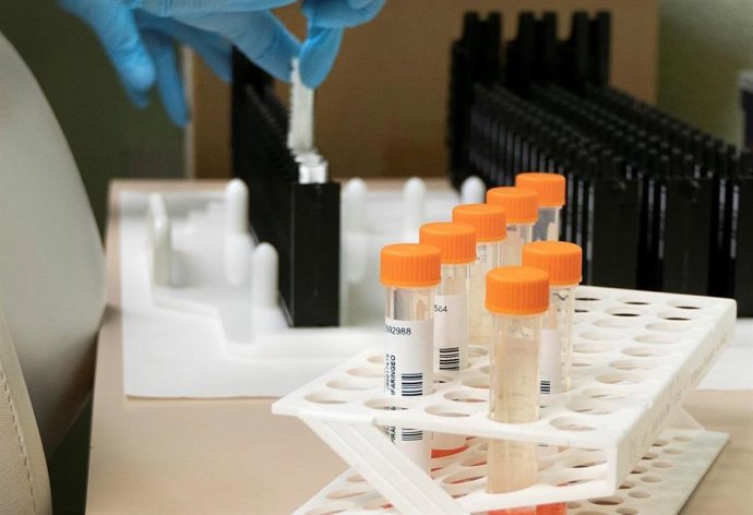 Análisis, analítica.