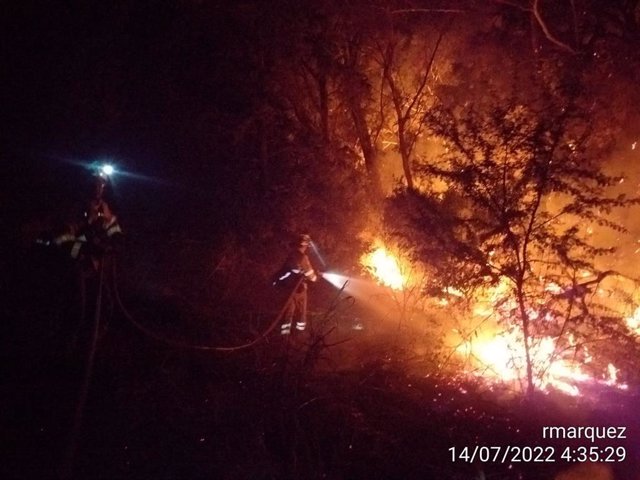 Incendio en la zona de la Cartuja de Jerez durante la noche.