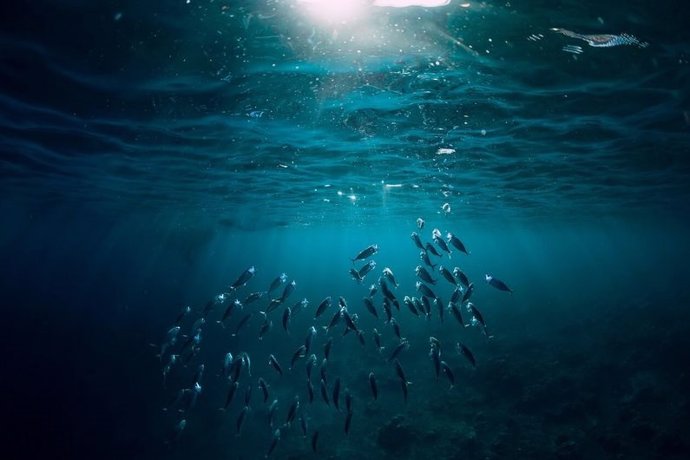Los microbios en las profundidades del océano podrían ser una buena herramienta para transformar el carbono en moléculas más estables.