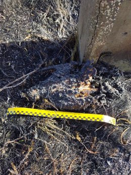 La electrocución de un ave en un tendido eléctrico causó el incendio del pasado 18 de junio en las inmediaciones de Barbastro.