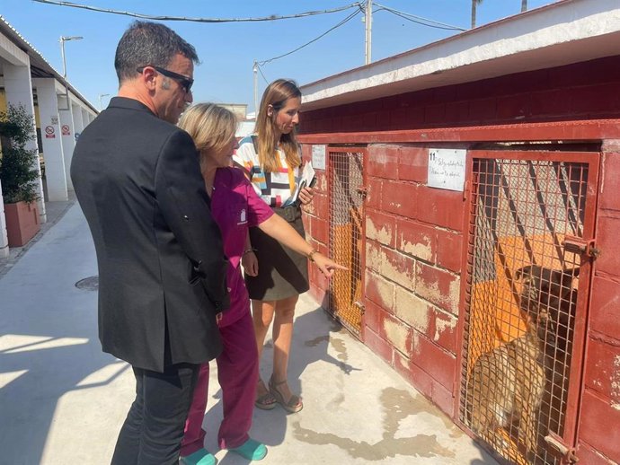 El Ayuntamiento de Murcia lanza una campaña de no abandono y tenencia responsable de animales de compañía