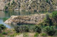 Las Lagunas de Ambroz registran 1.080 especies de invertebrados, 156 de aves, 13 mamíferos y más de 50 hongos