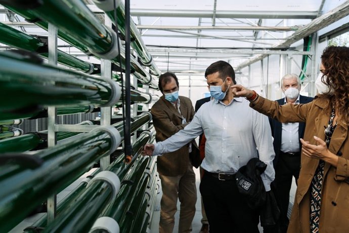 Archivo - La futura sede de Esmasa será un edificio sostenible que reciclará el aire a través de microalgas