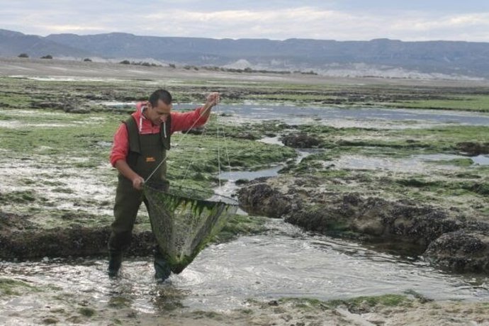 Proponen la extracción de omega 3 de residuos pesqueros con técnicas sostenibles