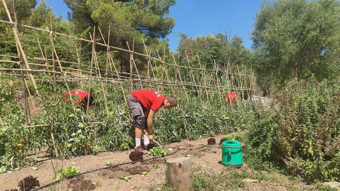 Trabajos en Esporles