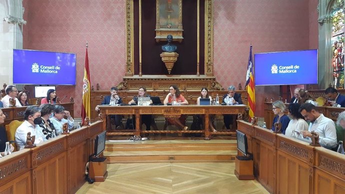 Pleno del Consell de Mallorca.