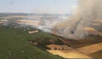 Medios aéreos y terrestres trabajan para controlar un fuego declarado en Valdeande (Burgos)