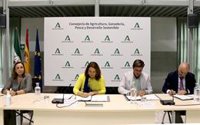 Junta y Villalba del Alcor (Huelva) colaboran para rehabilitar y adecuar una antigua bodega como centro de visitantes