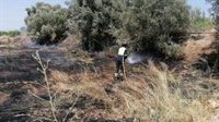Servicios de emergencia dan por extinguido un incendio de matorral declarado en la finca El Mayayo en Murcia