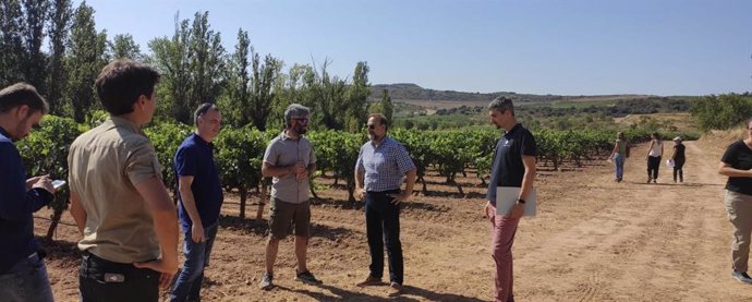 La Rioja forma al sector vitivinícola en agricultura de precisión para un uso sostenible de fitosanitarios en la viña