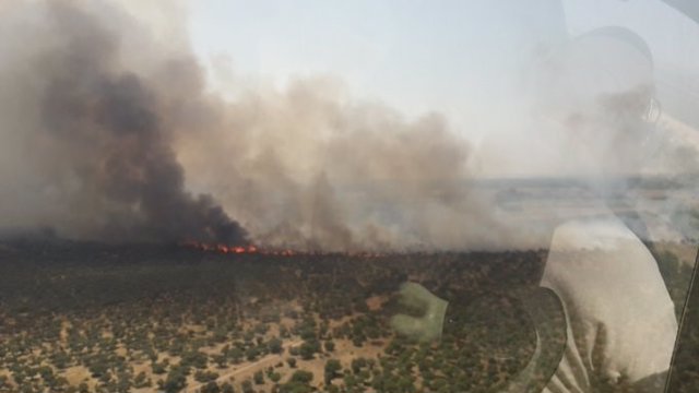 Imagen del incendio declarado en Castronuño (Valladolid).