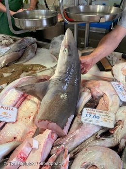 Seafood sold at local market in Sesimbra (Portugal). A Greenpeace investigation revealed the extent to which sharks of all species are sold on the open market in Portugal.