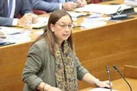Vox consigue aprobar su primera iniciativa legislativa en Les Corts con una propuesta basada en una ley del Botnic