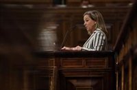 El Congreso fuerza al Gobierno a impulsar una desgravación fiscal para La Palma, con PSOE y Podemos divididos