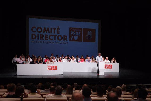 El secretario general del PSOE-A, Juan Espadas, interviene ante el Comité Director del PSOE-A, en Alcalá de Guadaíra (Sevilla).