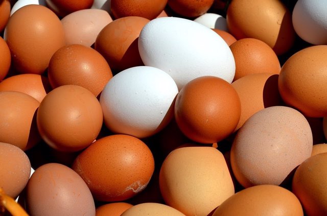 Archivo - Huevos de gallina