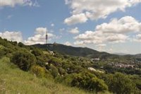 Barcelona activa el plan por riesgo de incendios forestales en fase de  alerta