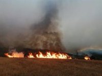 El fuego de Monsagro (Salamanca) ha pasado la sierra y entra en terreno agrícola de Guadapero