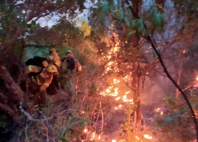 Equipos de las Brigadas de Refuerzo en Incendios Forestales luchan contra el fuego