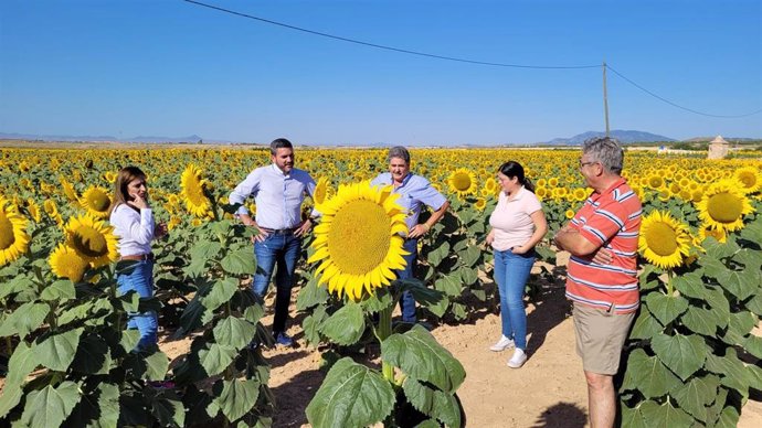 El consejero de Agua, Agricultura, Ganadería, Pesca, Medio Ambiente y Emergencias, Antonio Luengo, durante su visita a una plantación de esta herbácea