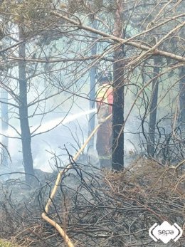 Bombero trabajando en un incendio forestal