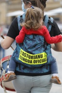 El Principado "no valora" el rechazo del PSOE a la propuesta de oficialidad impulsada por Podemos en el Congreso