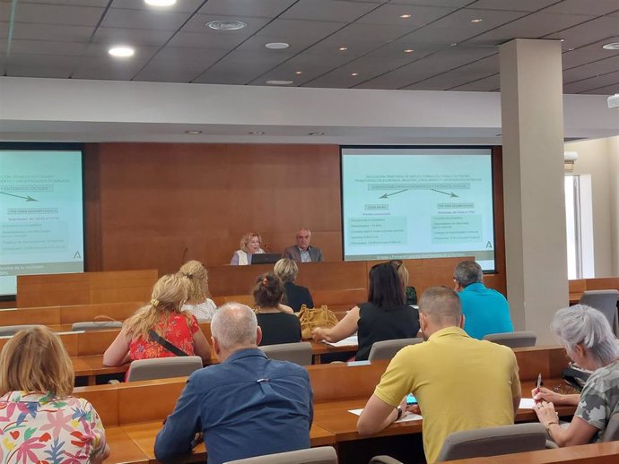 La delegada territorial de Empleo, Carmen Sánchez, explicando este programa a los ayuntamientos de la Costa y Guadalhorce