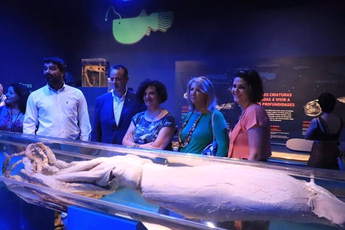 La consejera de Cultura, Política Llingüística y Turismo, Berta Piñán, en la inauguración del Museo del Calamar Gigante de Luarca